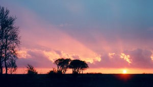 AMEN 37 Zonsopgang