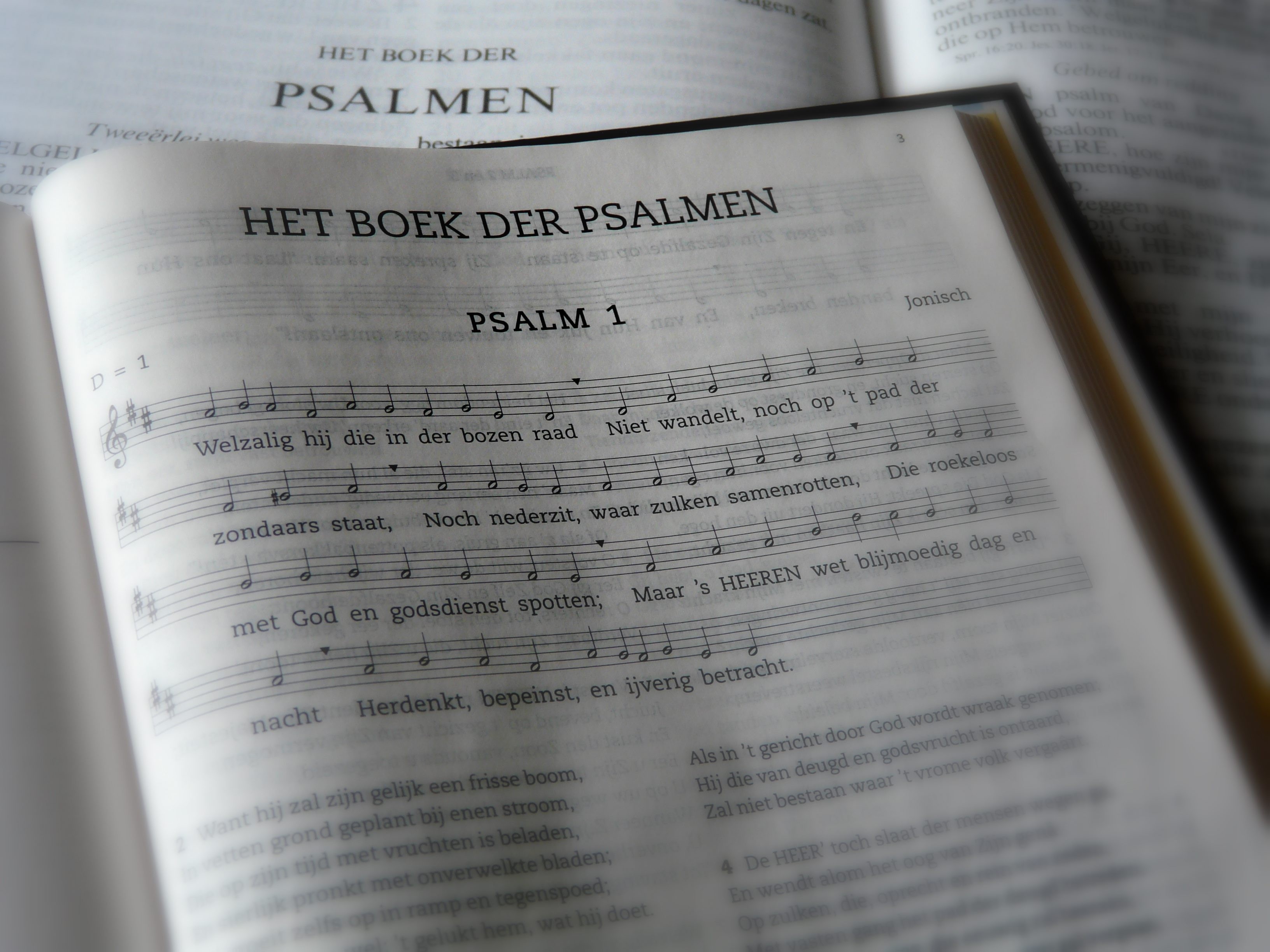 Muziek In De Bijbel Nieuw boek - Nieuw boek: De Koorleider - AMEN